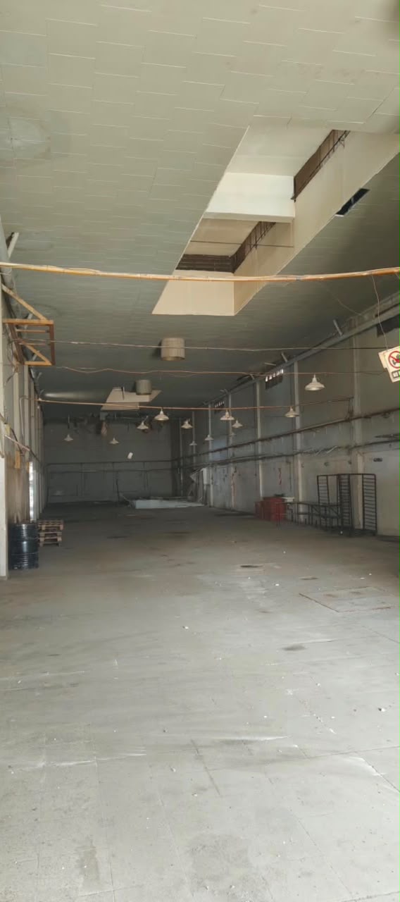 Foto interior del Galpon. 